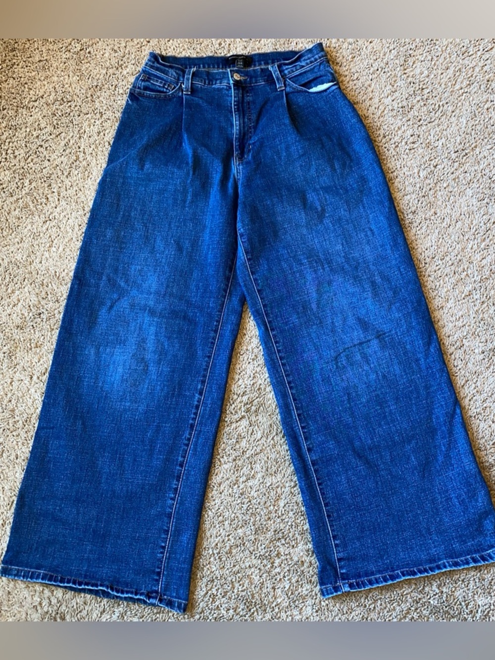 Banana Republic High-Rise Wide Leg Jeans Size 29 Denim Stretch Pleated
